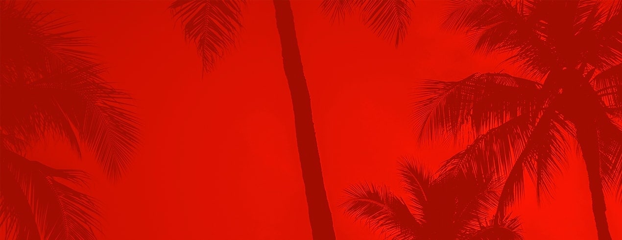 Summer Sale Background