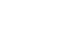 logo air force 1