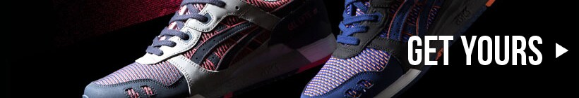 ascis-banner-chameleon