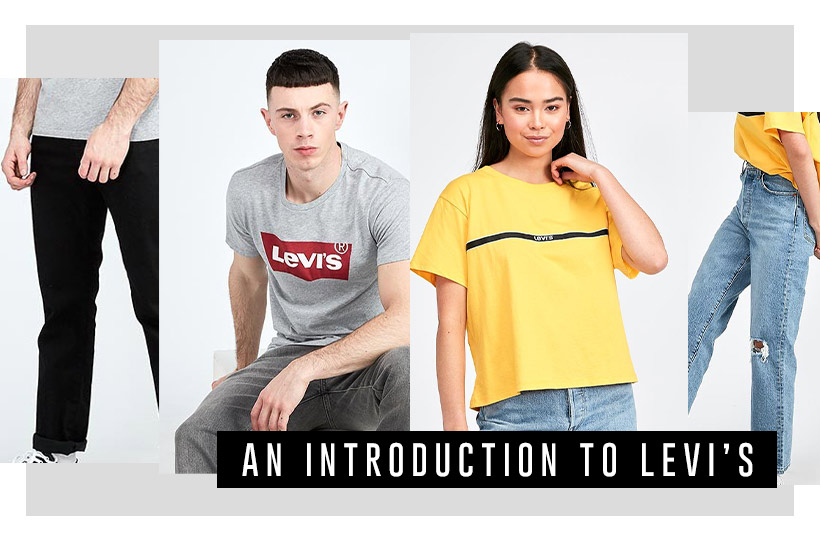 An introduction to Levi's