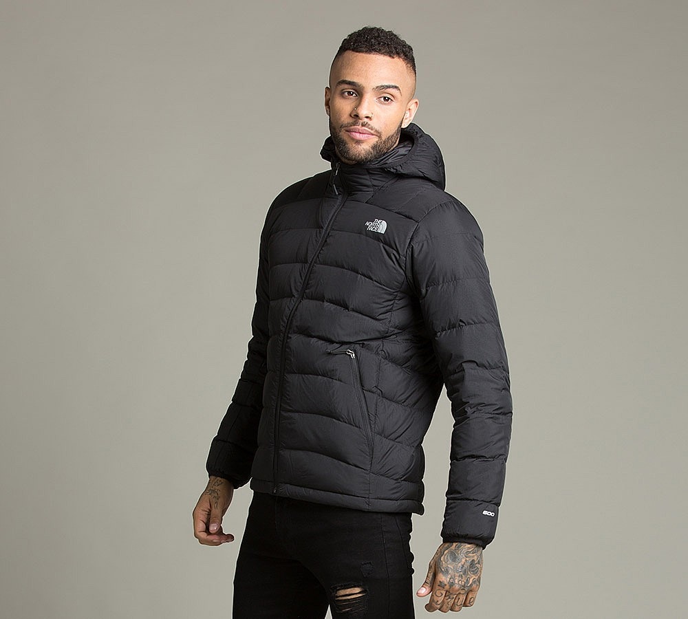 the north face down hooded jacket