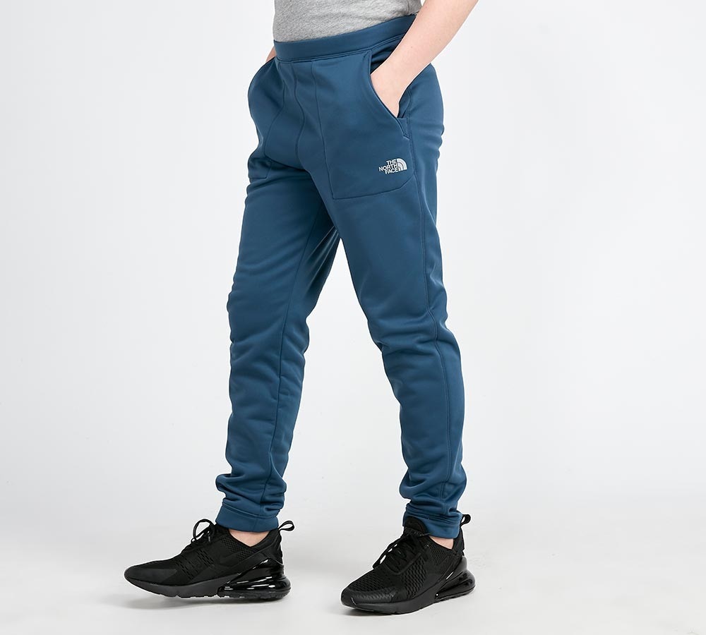 north face surgent poly pant