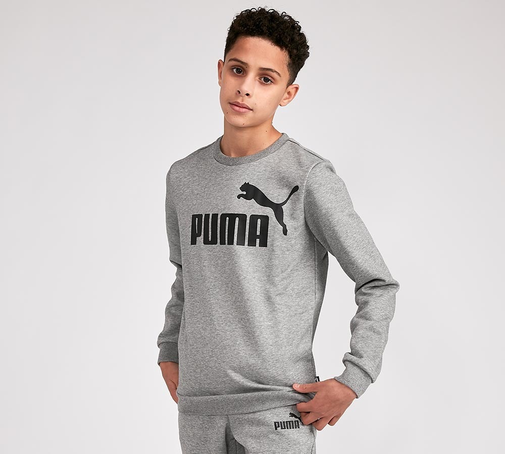 puma grey hoodie junior