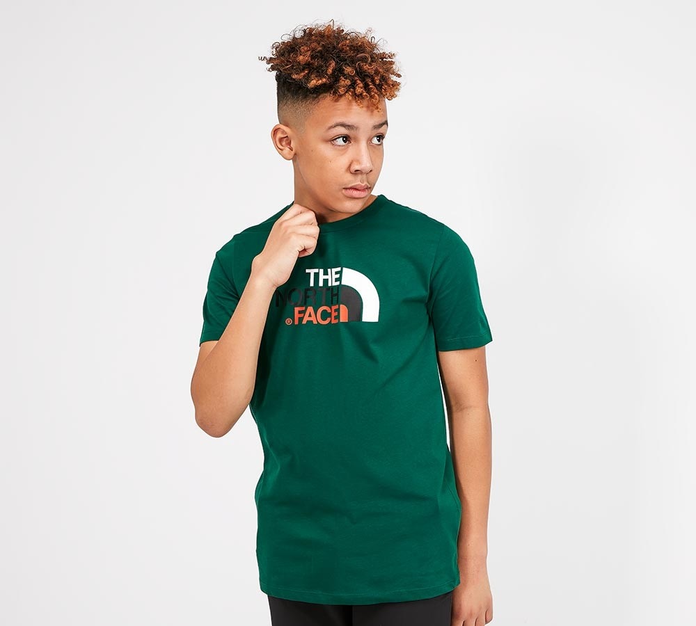 north face t shirt footasylum