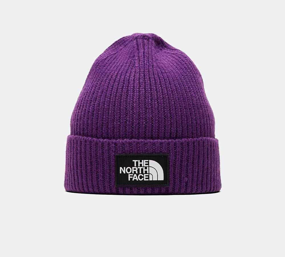 the north face logo beanie