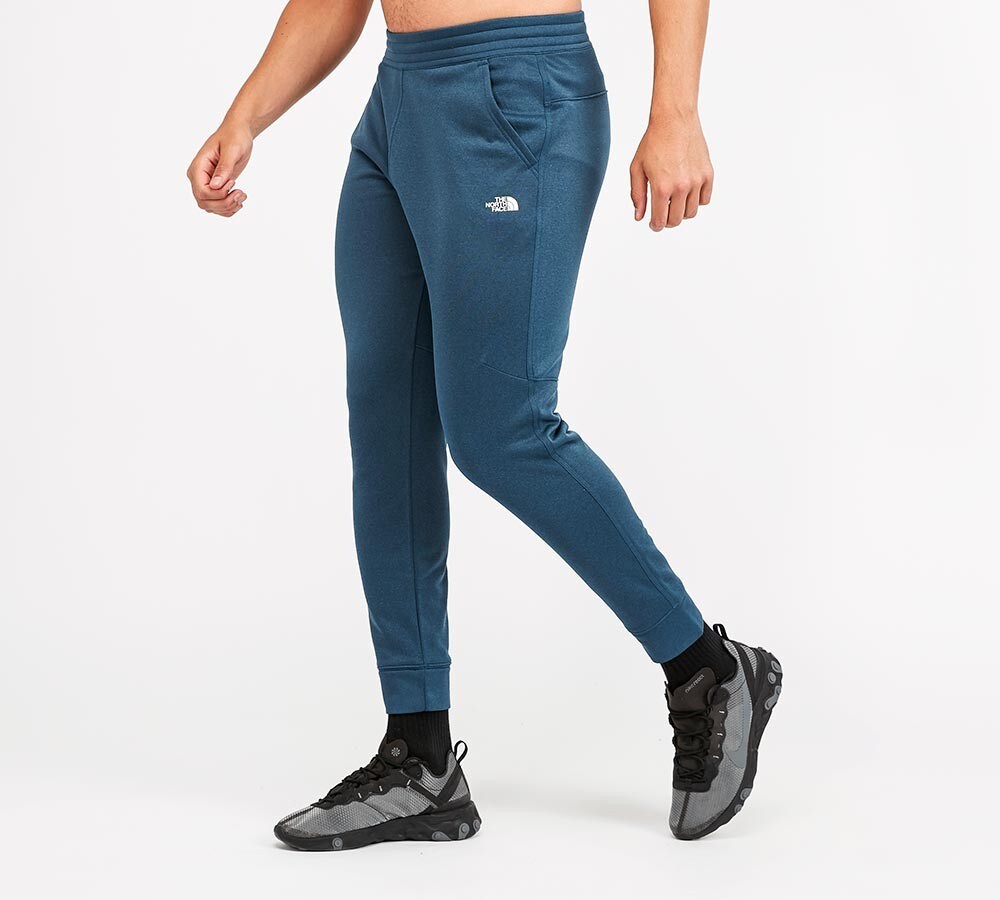 the north face surgent