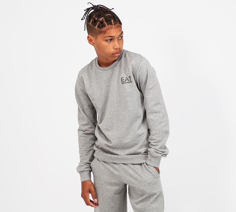 ea7 core id sweatshirt