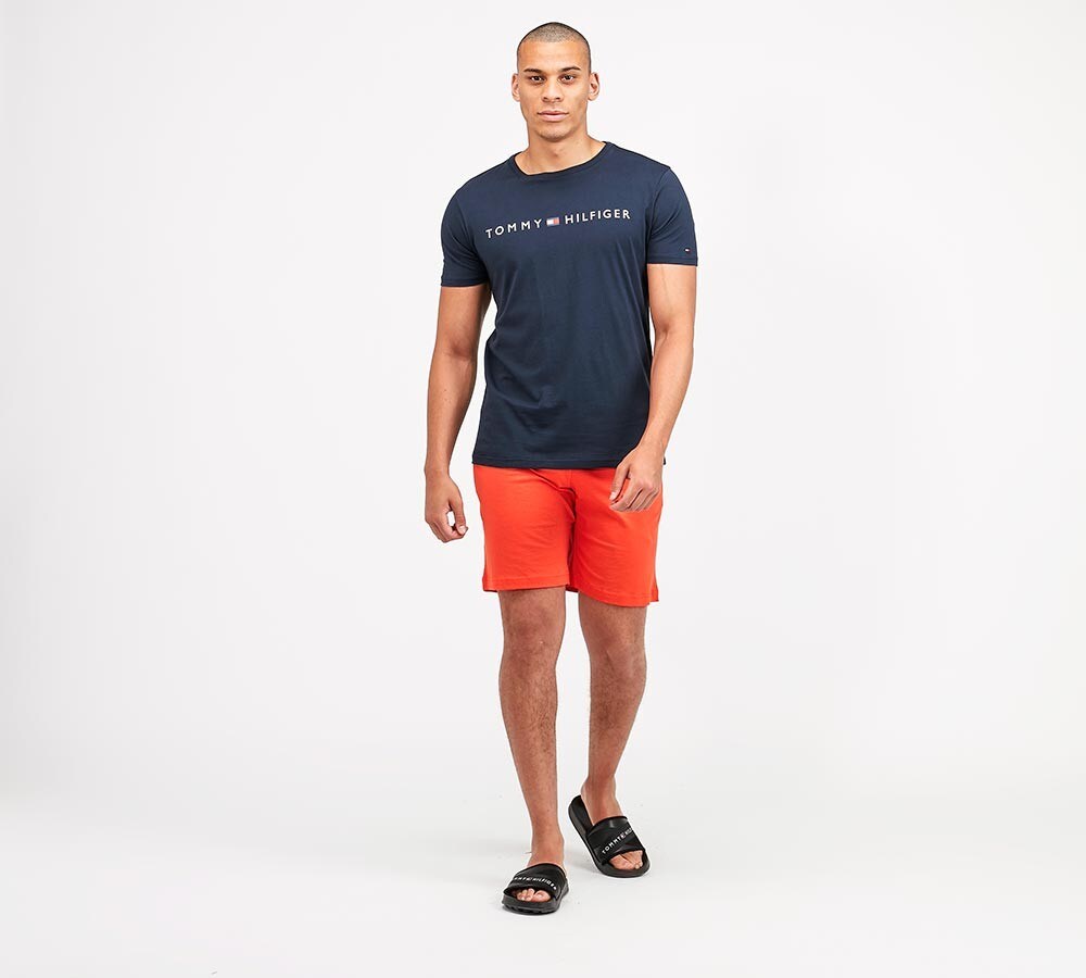 tommy hilfiger shorts and t shirt set