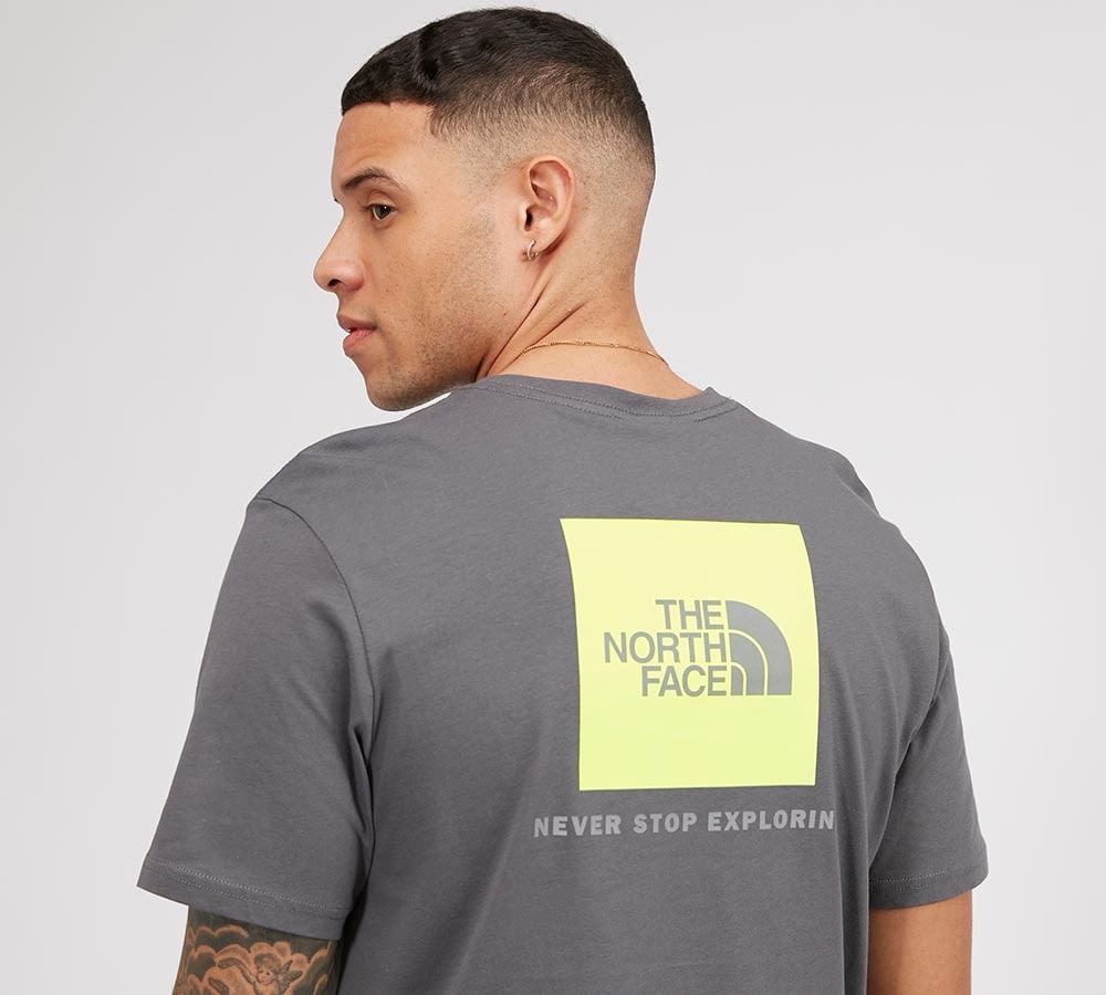 the north face t shirt grey