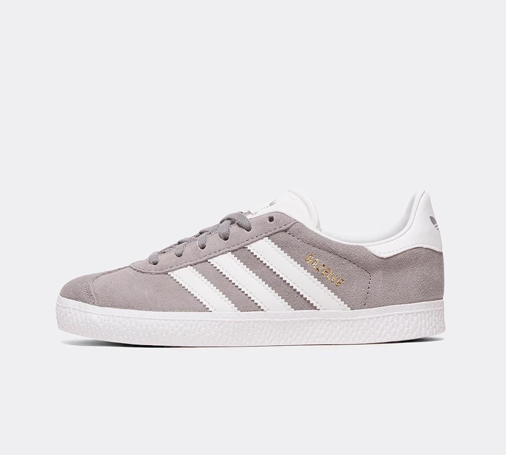 infant grey gazelles