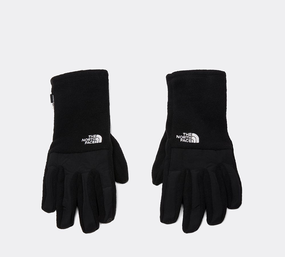The North Face Denali E-Tip Glove 