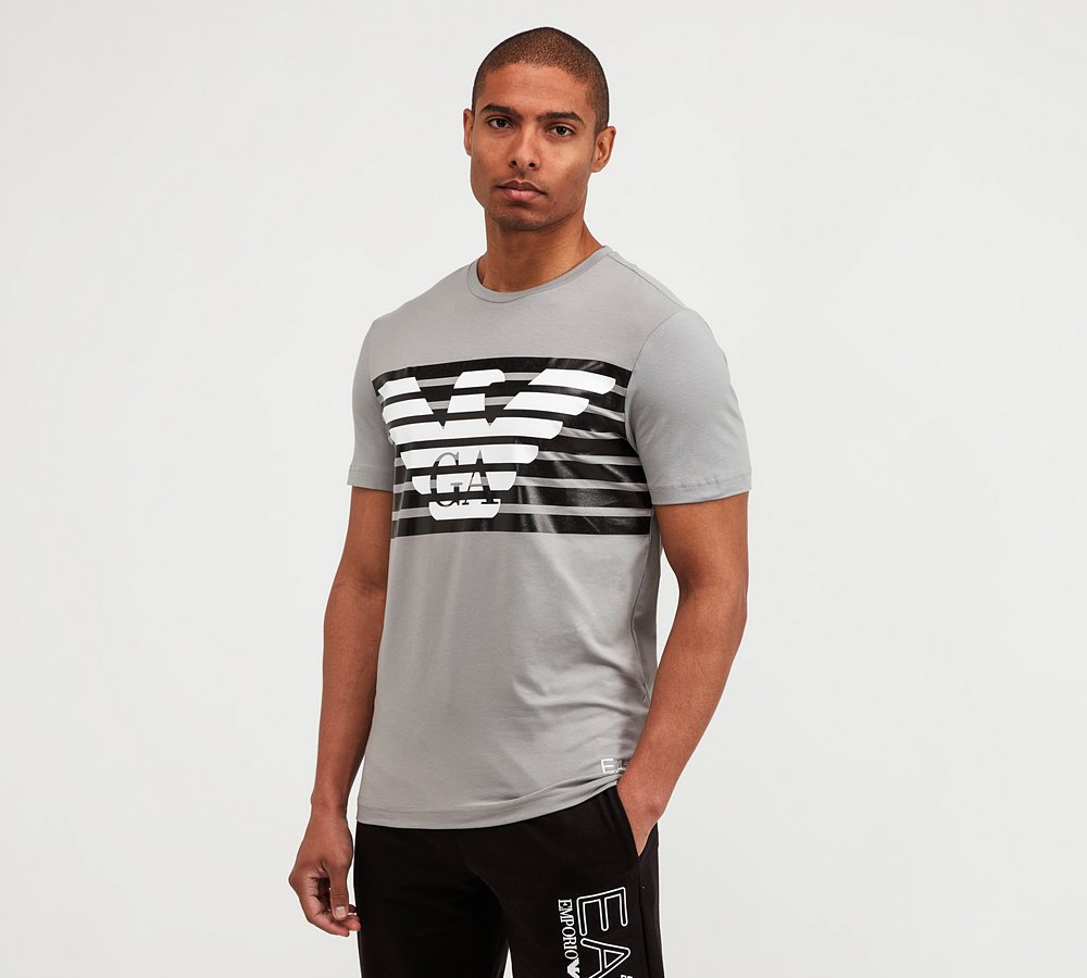 EA7 Graphic Eagle T-Shirt | Sharkskin 