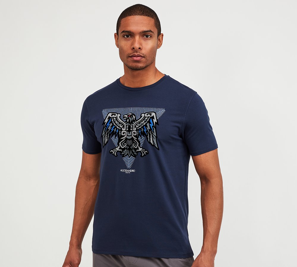 Alessandro Zavetti Aztec Pyramid T 
