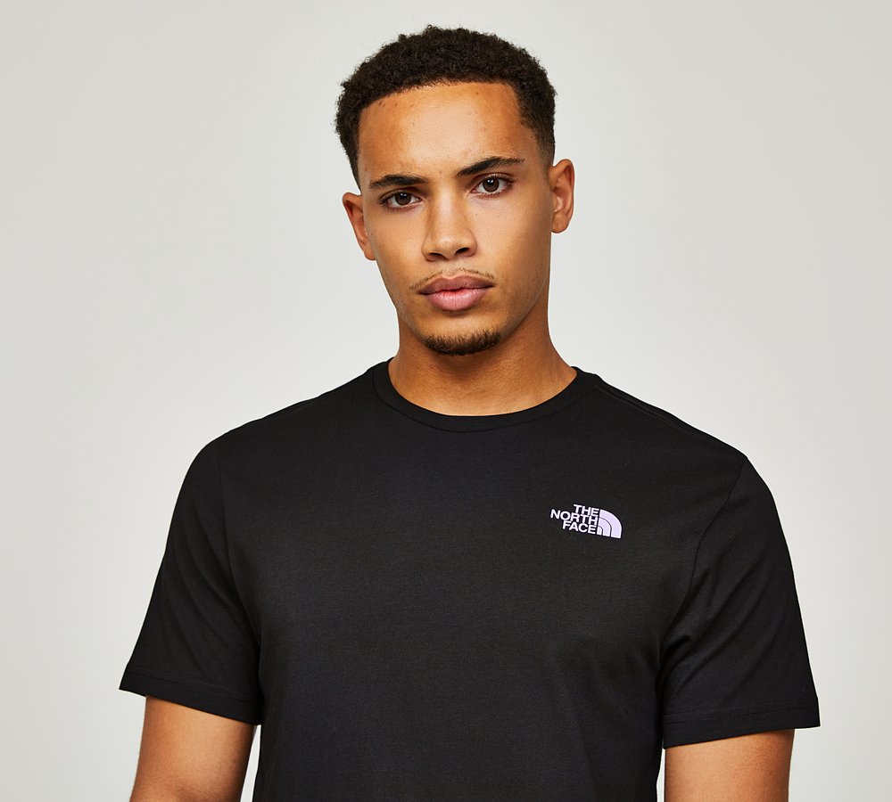 Mountain Flag 2 T Shirt