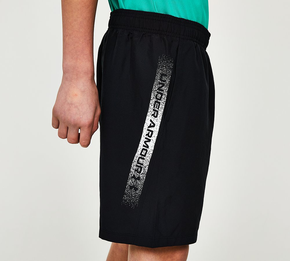 Ua sales swim trunks