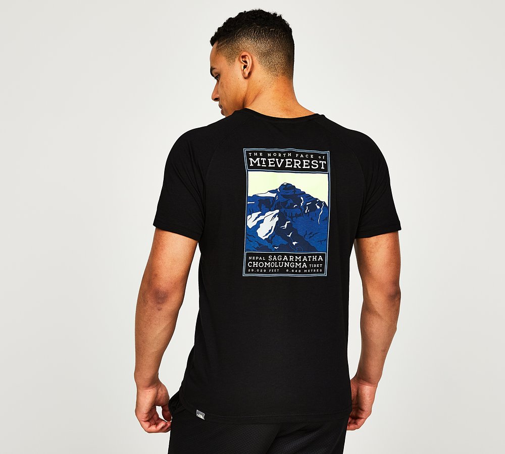 North face deals everest t shirt