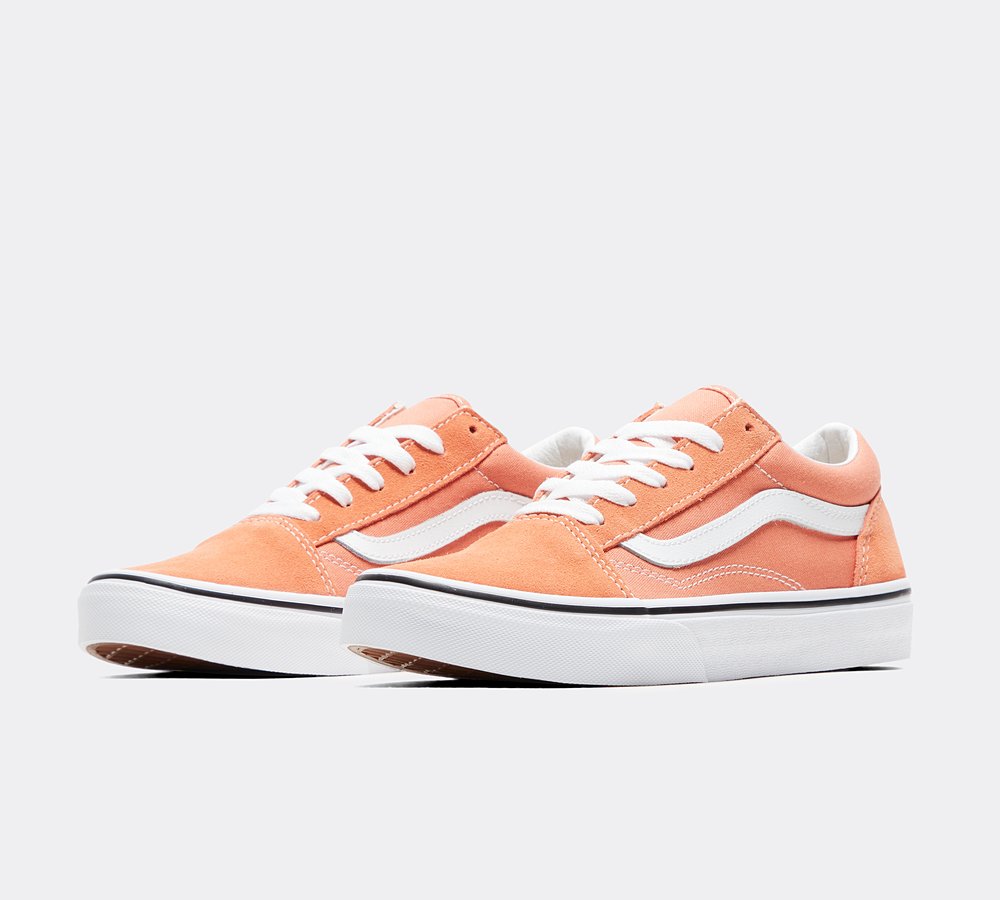 Old skool vans footasylum hotsell