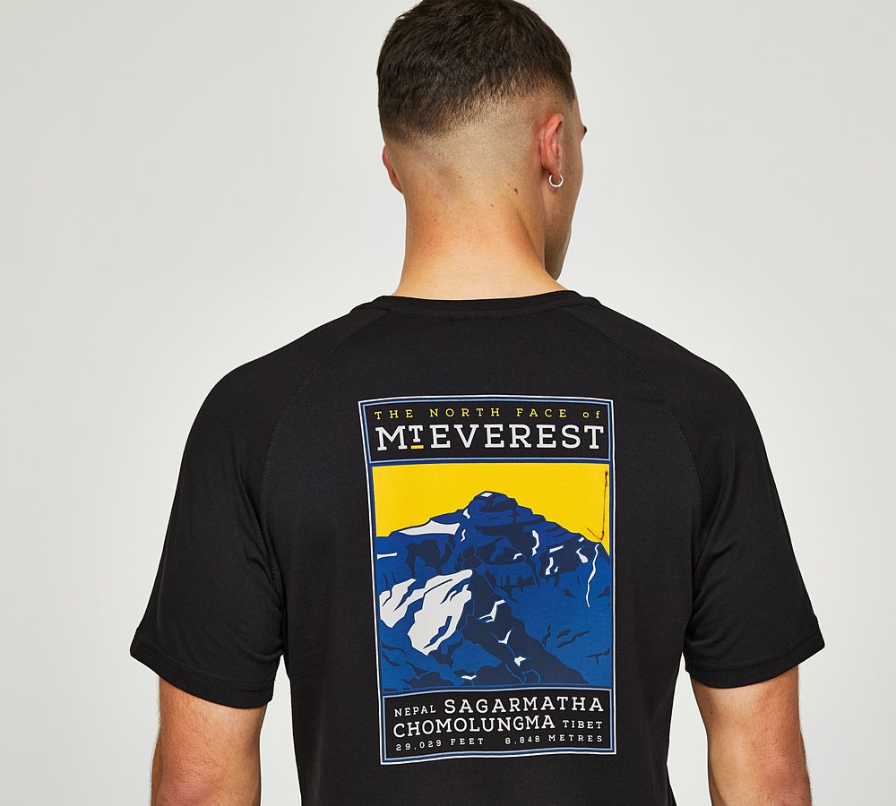 North face mt sales everest t shirt