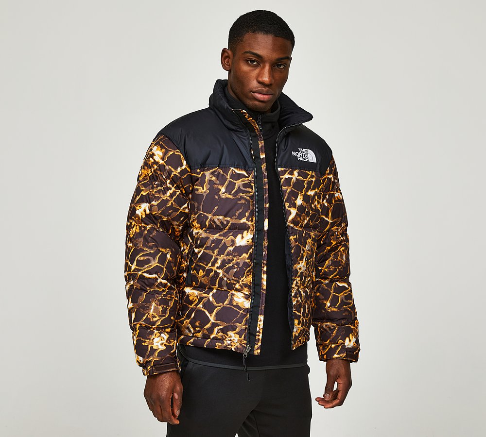 Hooded nuptse jacket shop
