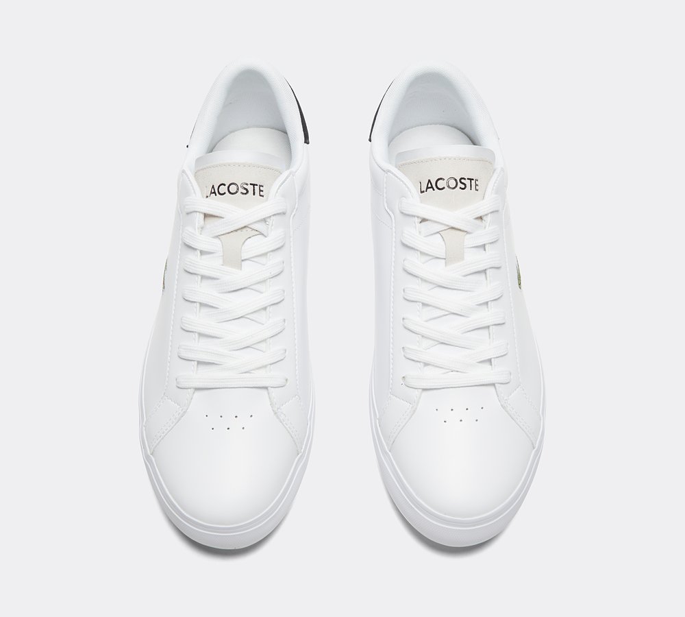 Lacoste trainers footasylum online