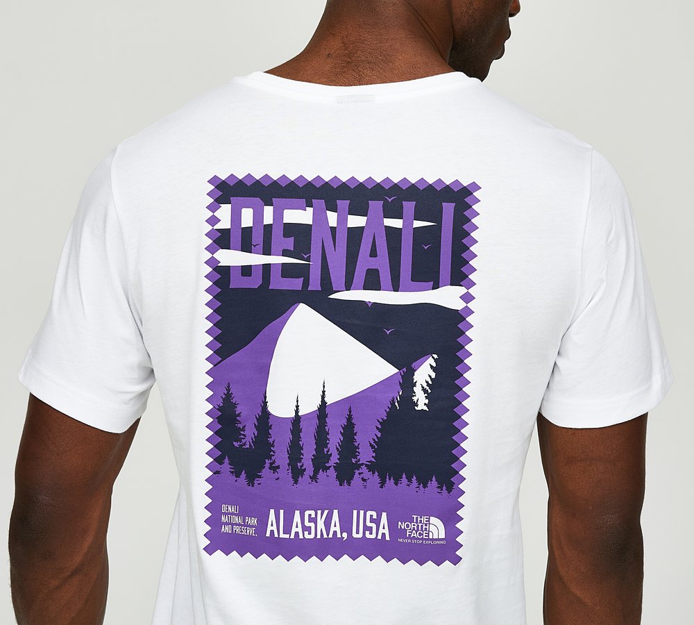 North face denali shirt sales