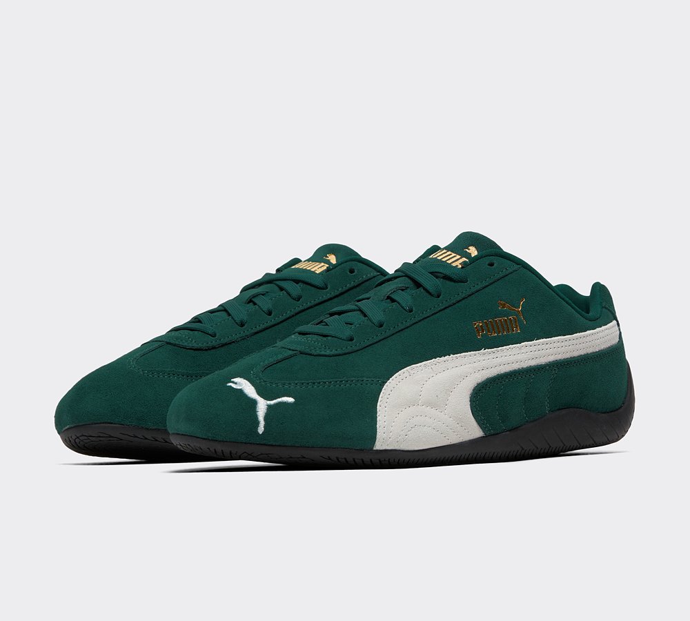 Speedcat Trainer