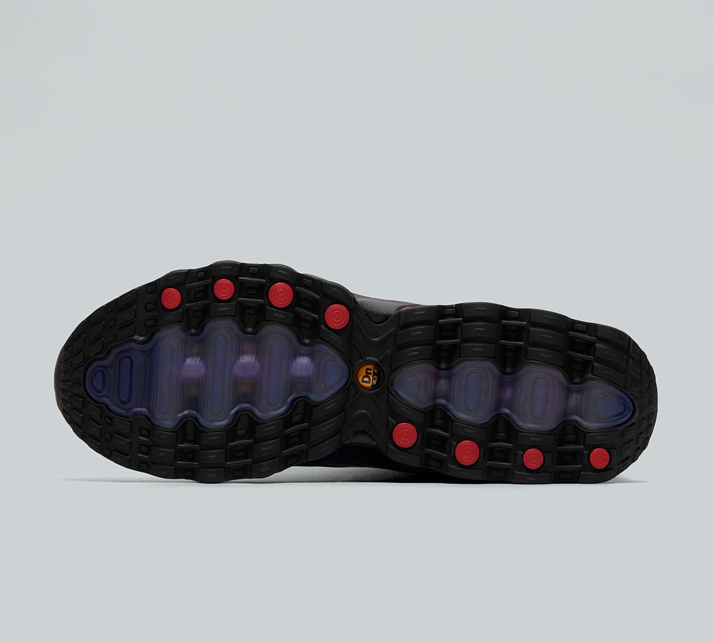 Nike Air Max DN8 Trainer | Black / Fierce Purple / Indigo Burst