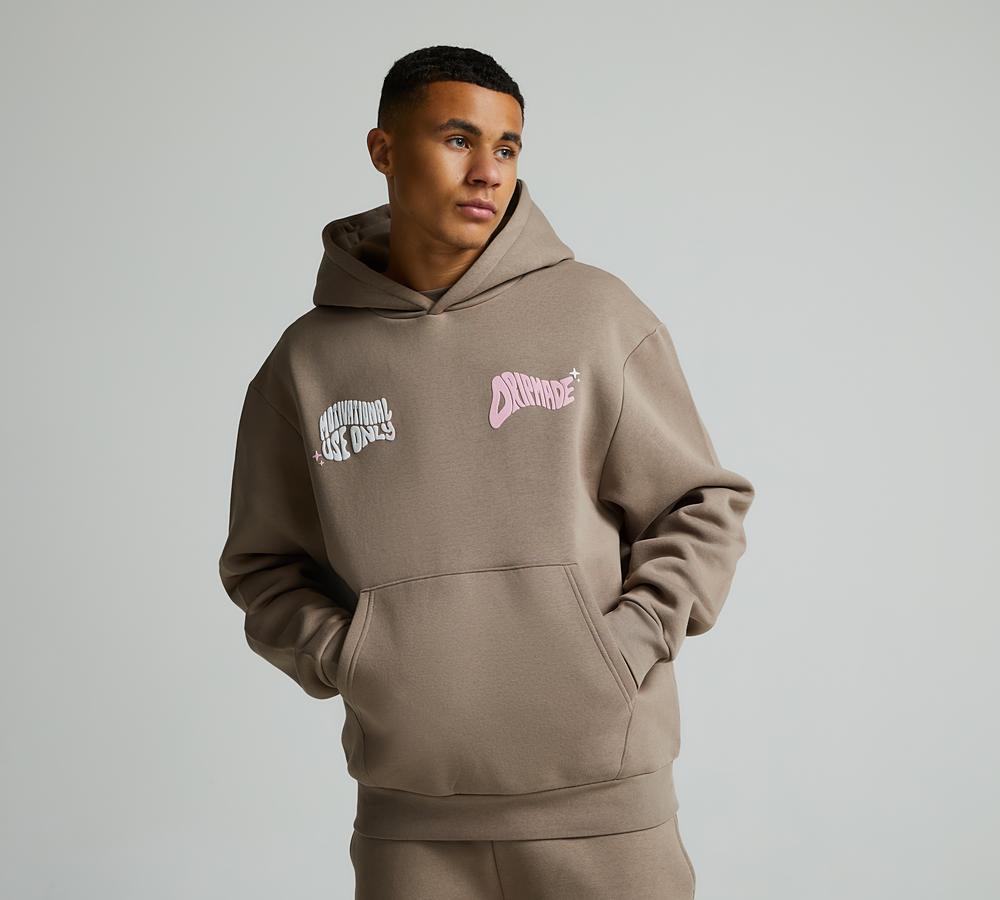 トップス  ECONOMICS EXPERIMENT TOUCH HOODIE ECL Hoodie – Alex Tells Jokes