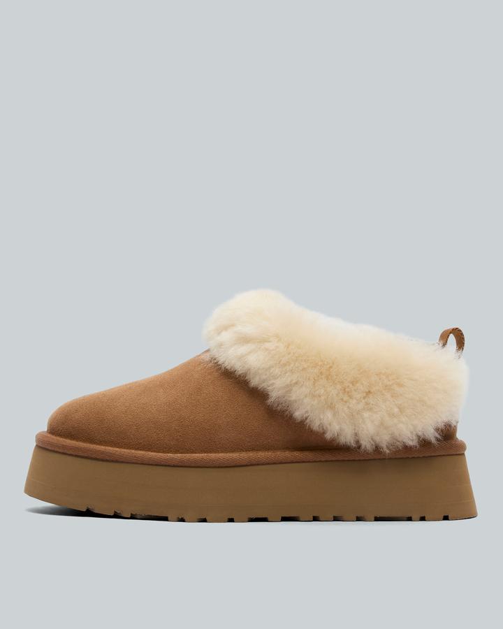 Ugg Womens Tazzelle Slipper Brown, Women's size: 3, FootAsylum