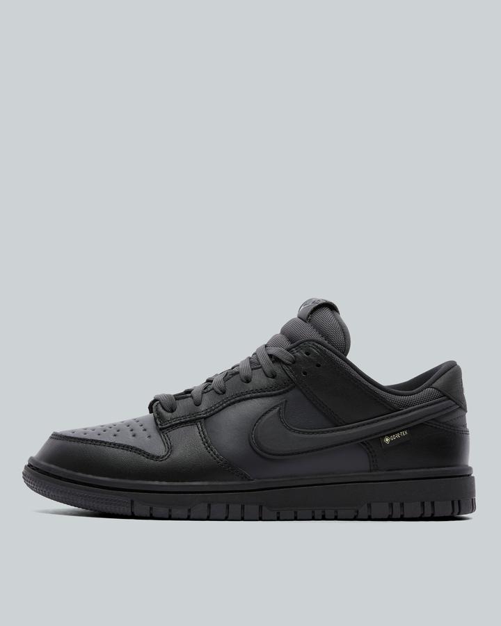 Nike Dunk Low GORE-TEX Trainer | Black / Anthracite / Noir