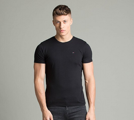 tommy hilfiger small logo t shirt