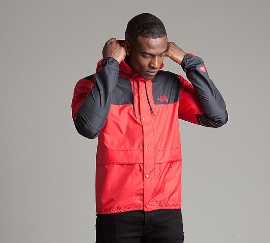 the north face women's crescent parka