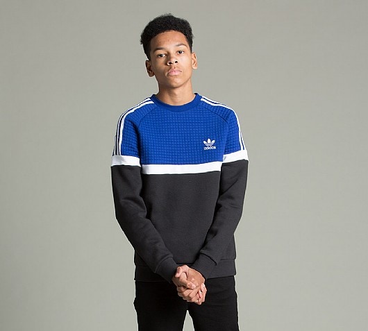adidas Originals Junior Trefoil Fleece Sweatshirt