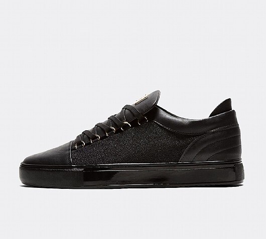Glorious Gangsta Ace Caviar Trainer