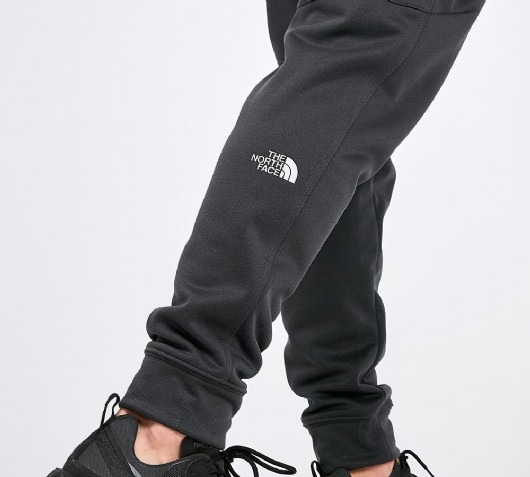 the north face surgent poly pant