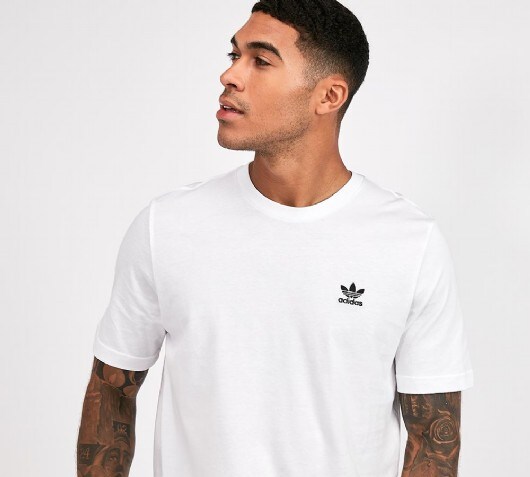 composition media polo