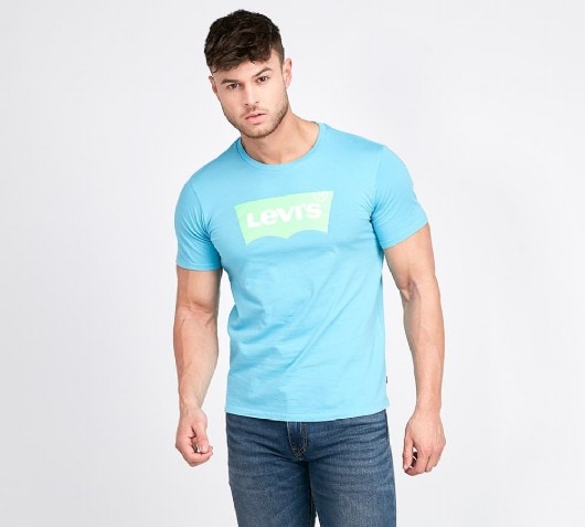 Levi's Logo T-Shirt | Blue / Green | Footasylum