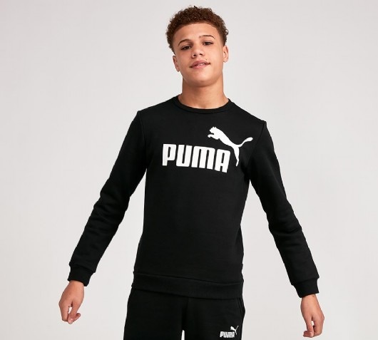 puma core logo crew sweatshirt junior