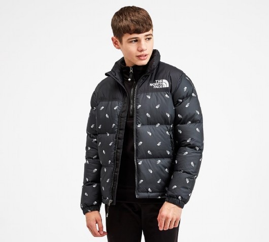 the north face padded coat