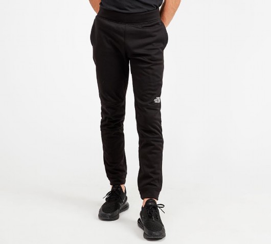 north face surgent poly pants