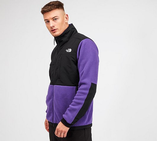 the north face purple fleece