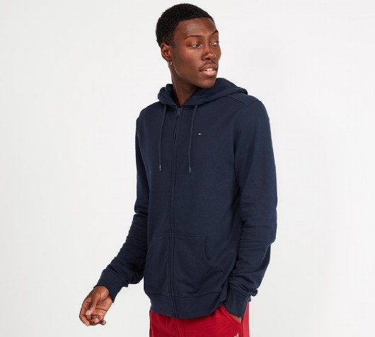 tommy hilfiger hoodie small logo