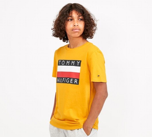 Tommy hilfiger t shirt footasylum hotsell