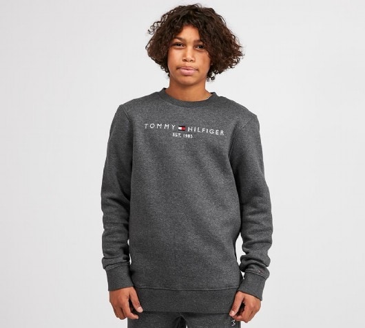 tommy hilfiger linear logo sweatshirt
