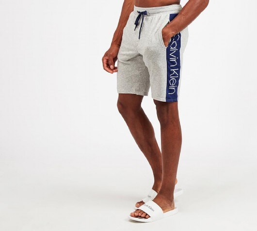 Image of Lounge Panel Logo Short