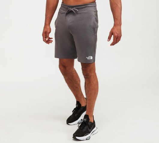 The North Face Logo Short | Vanadis 