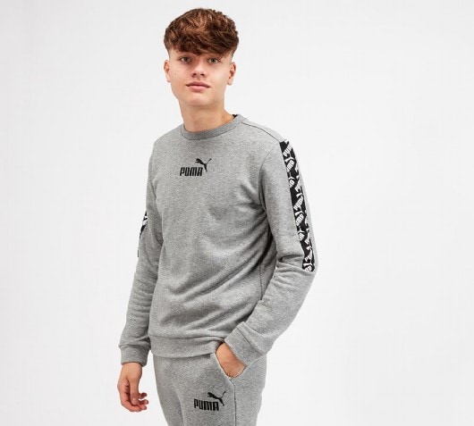 puma grey hoodie junior