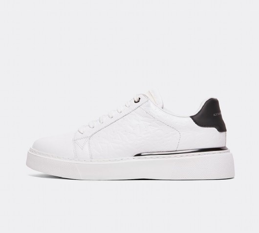 Image of Fiero Trainer