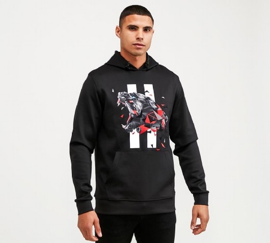 Image of Polygon Panther Overhead Hoodie