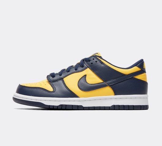 Junior Dunk Low Retro Trainer